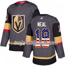Vegas Golden Knights tröja James Neal 18 Adidas 2017-2018 Grau USA Flag Fashion Authentic - NHL Tröjor Herr